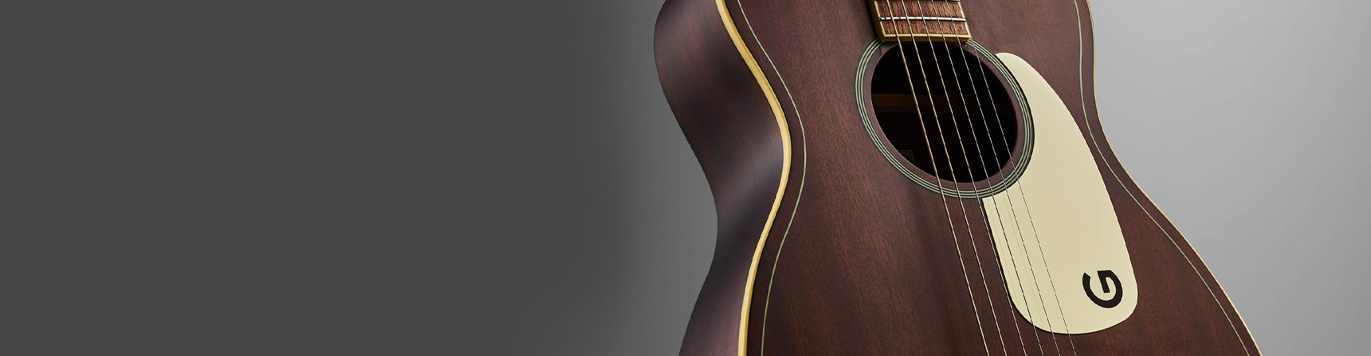 Gretsch Jim Dandy Series Slide background