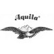 Aquila