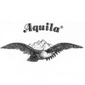 Aquila