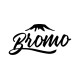 Bromo Guitars